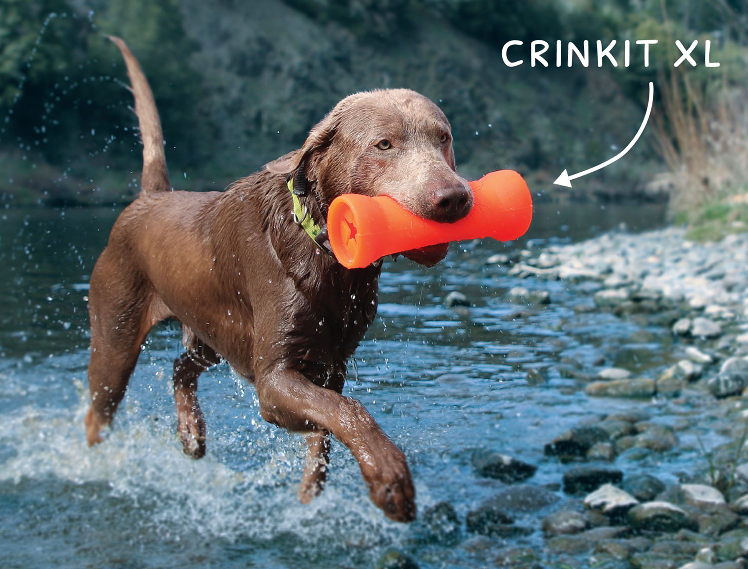 RuffDawg Crinkit