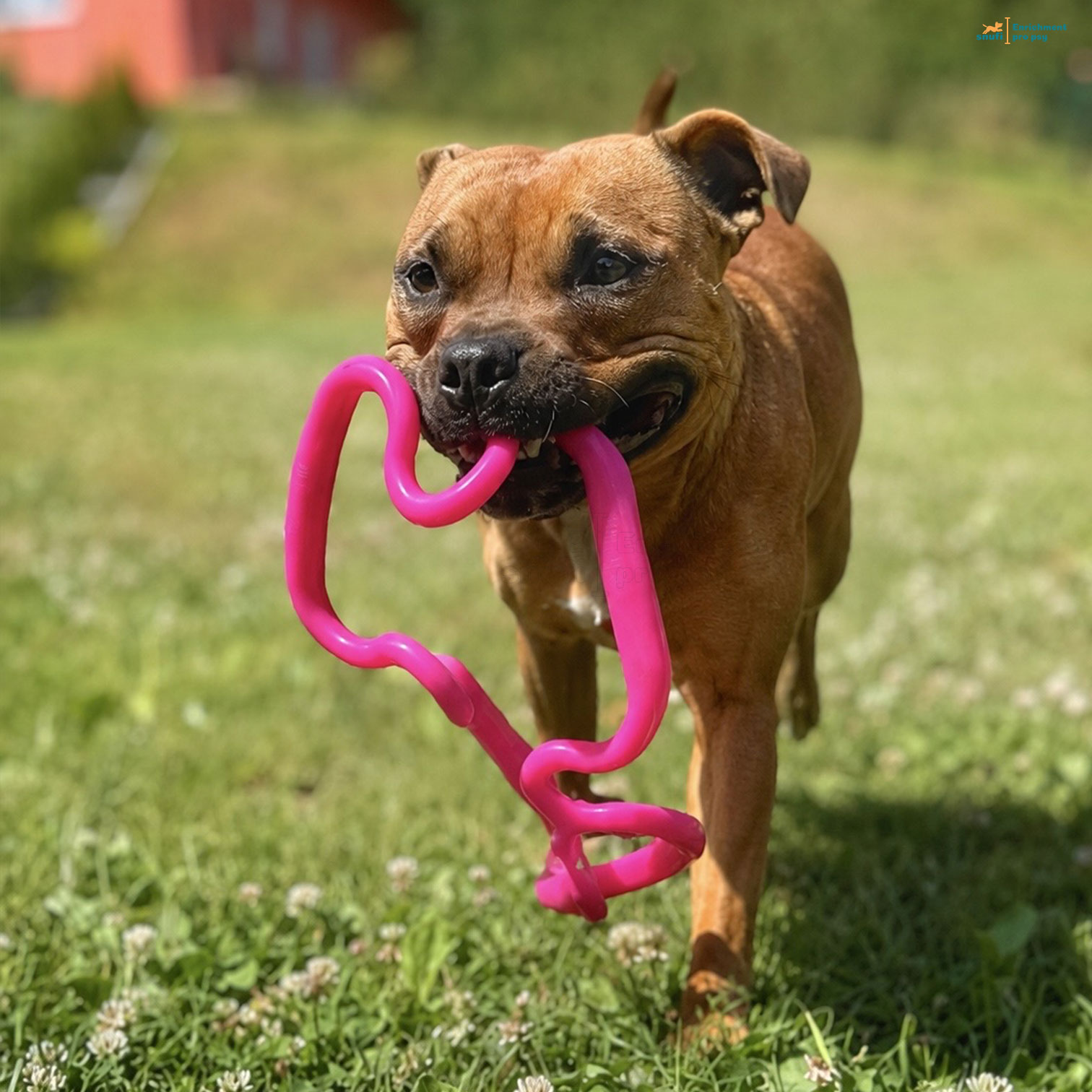Ruff Dawg Super Tug